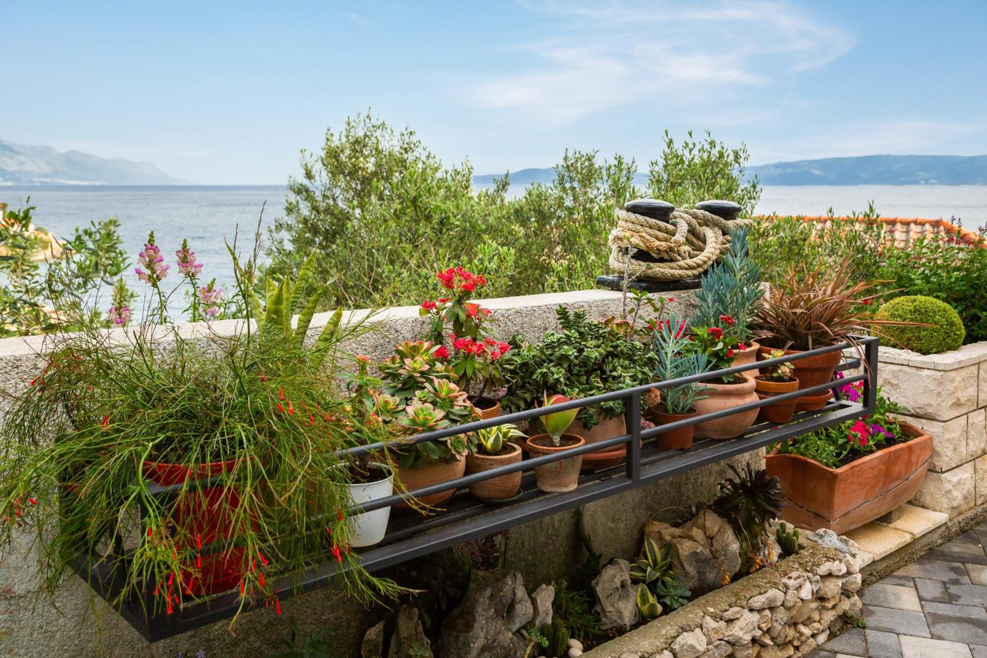 Seaside Apartment Kamelia Mimice Exterior photo